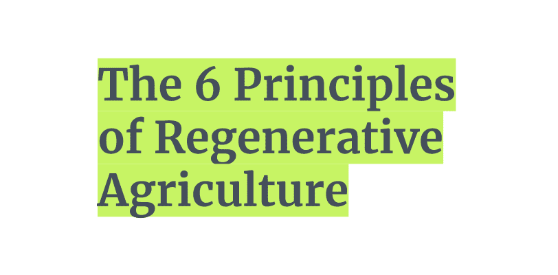 The 6 Principles of Regenerative Agriculture